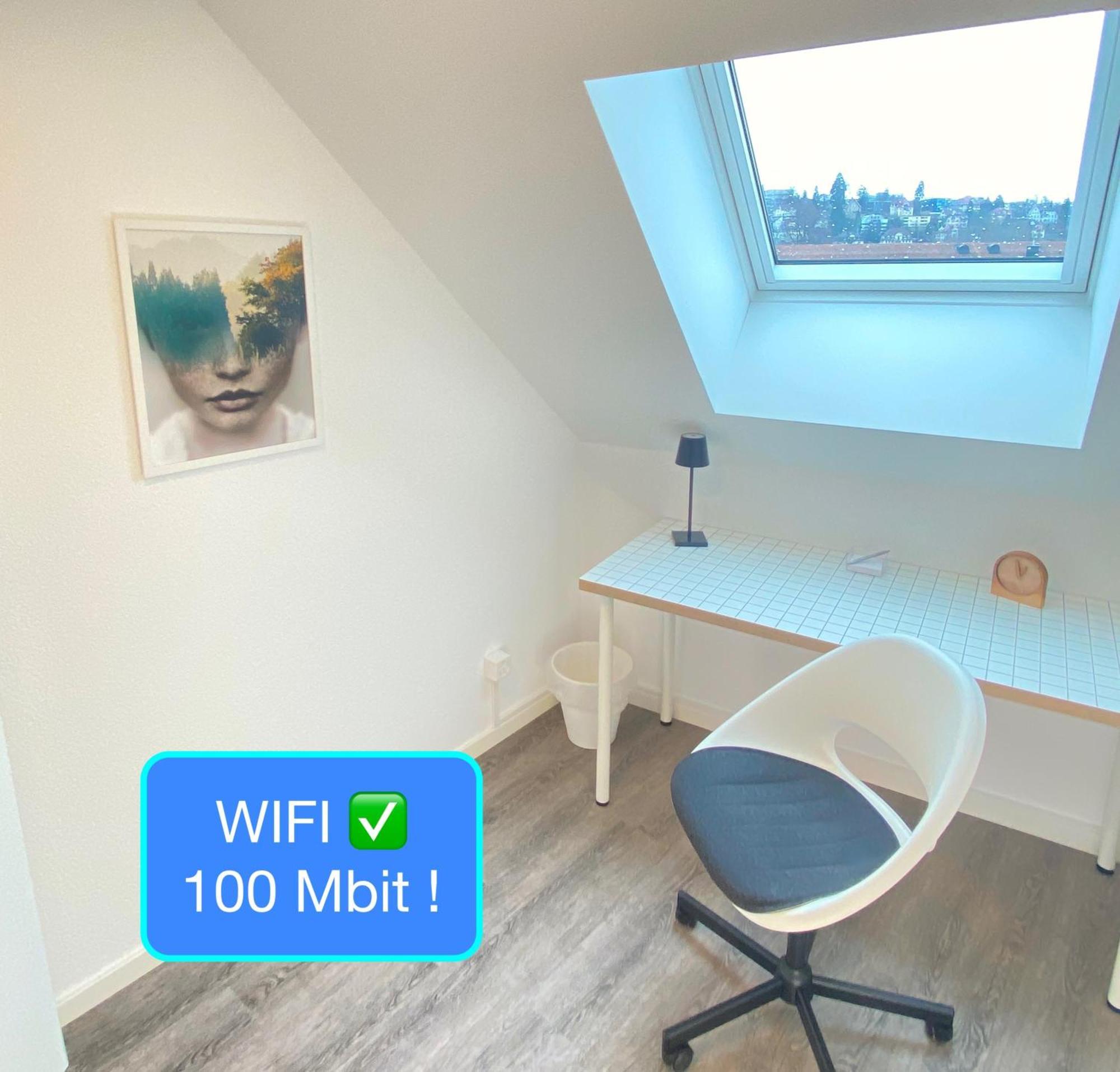 Ruhige, Neue Dachwohnung An Altstadt, Naehe Messe St. Gallen Exteriér fotografie